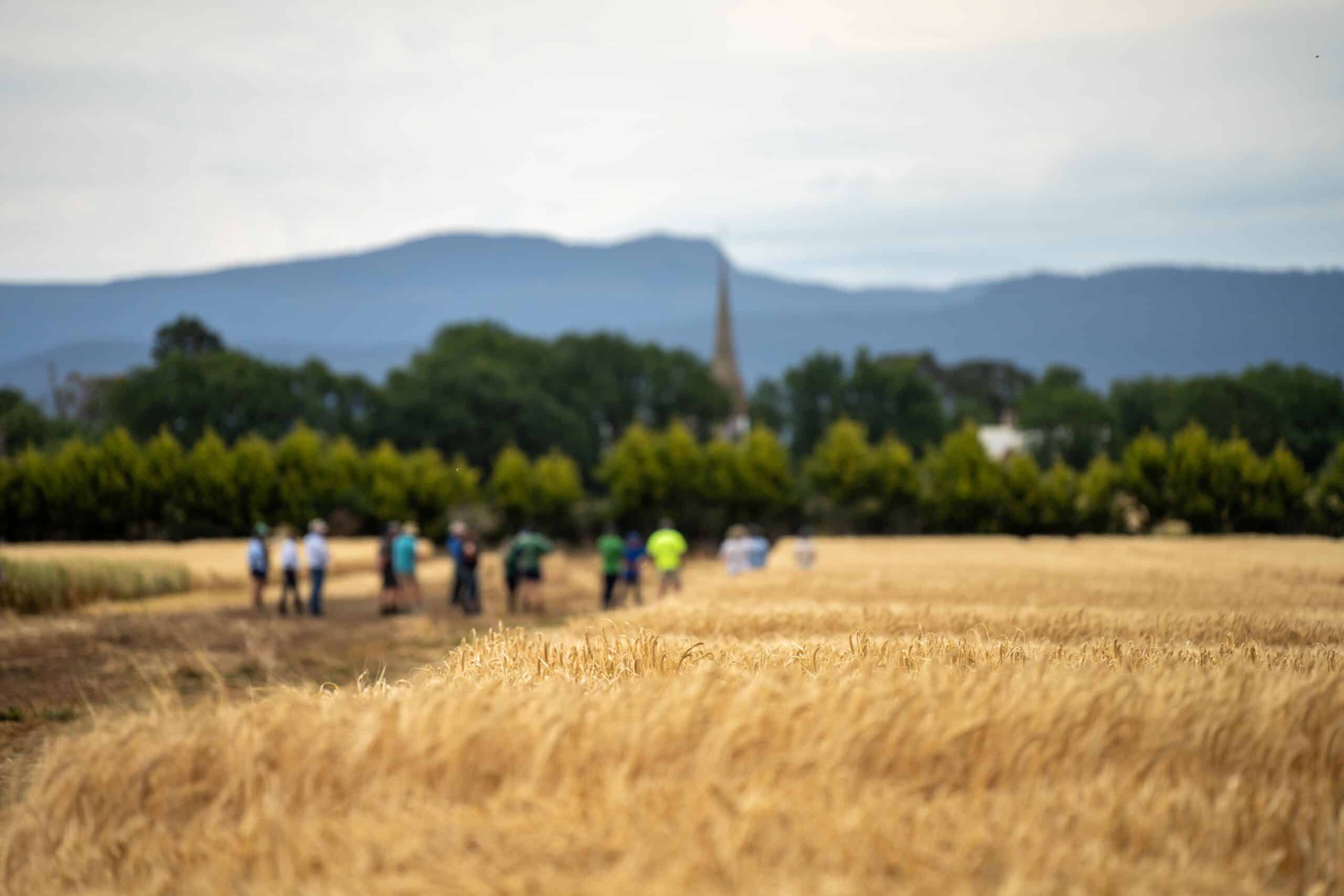 Employment Relations